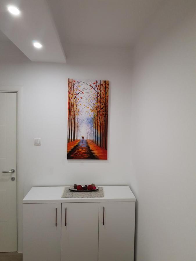Apartment Gea 18 โนวีซาด ภายนอก รูปภาพ